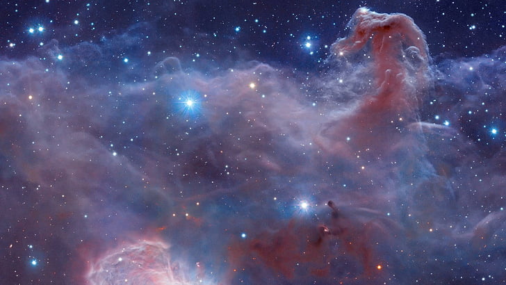 stelle, nebulosa testa di cavallo, nebulosa, stellato, Sfondo HD