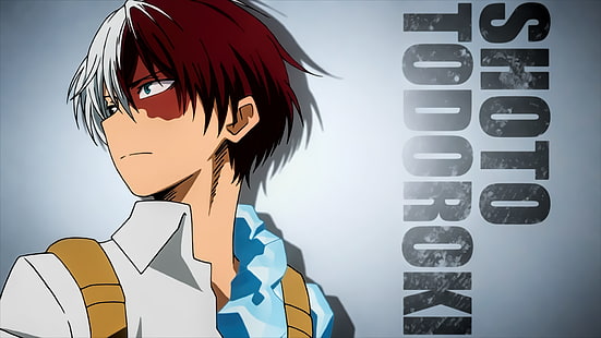 Anime, My Hero Academia, Boku no Hero Academia, Shoto Todoroki, Wallpaper HD HD wallpaper