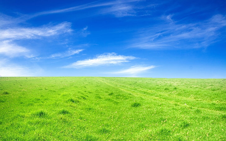 синя и зелена абстрактна живопис, пейзаж, трева, поле, HD тапет