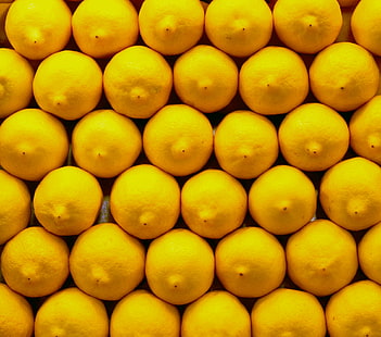 lemon fruits, lemons, lemons, Lemons, lemon, fruits, Barcelona, Market, La Rambla, Yellow, fruit, food, freshness, organic, ripe, citrus Fruit, healthy Eating, HD wallpaper HD wallpaper