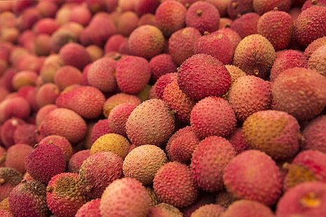 붉은 과일 많은 열매, 열매, 과일, 많은, 잘 익은, HD 배경 화면 HD wallpaper
