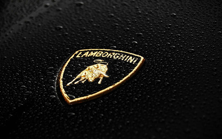 Мокро лого на Lamborghini, емблема на lamborghini, автомобили, 1920x1200, lamborghini, HD тапет