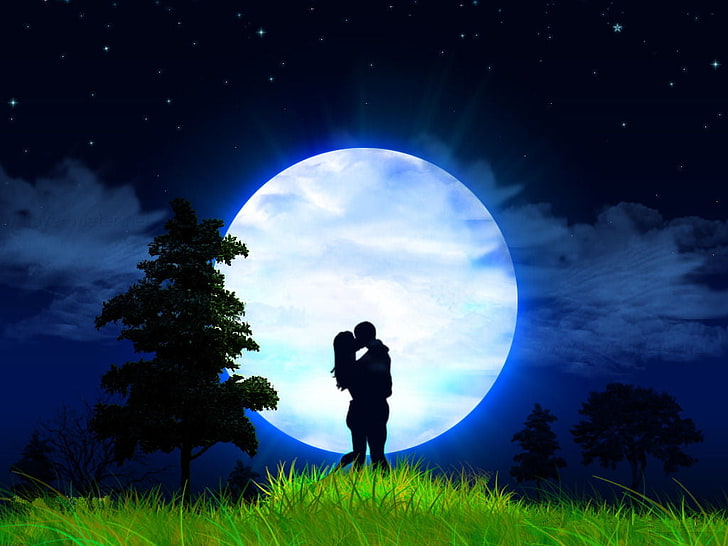 Moonlight Love, ilustrasi ciuman pria dan wanita, Cinta,, indah, bulan, padang rumput, malam, pasangan, ciuman, Wallpaper HD