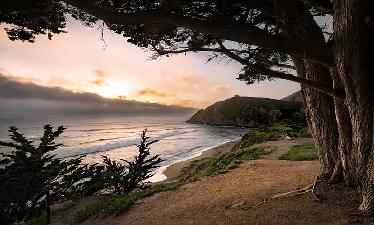 seashore with trees at sunset, gray whale, gray whale, Gray Whale, Whale Cove, seashore, trees, sunset, Sony A7RII, ILCE-7RM2, CA  e, fe, alpha, mountains, west coast, rocks, california, f4, landscape, outdoor, Zeiss, ILCE-7, 16mm, nature, Vario-Tessar, ZA, mountain, water, rock, boulder, tide, waves, aqua, ocean  sea, sand  beach, sky, gray  whale, whale  cove, pacifica, pacific, bracket, hdr, blend, high  dynamic  range, bracketed, couple, sun, golden  hour, golden hour, high dynamic range, beach, sea, coastline, scenics, sand, HD wallpaper