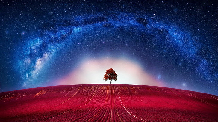 milky way, lone tree, lonely tree, field, photoshop, starry night, starry, starry sky, night sky, stars, tree, red tree, red field, night, hill, HD wallpaper