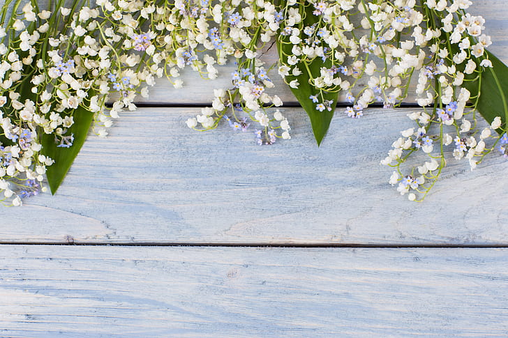 flores, buquê, primavera, branco, lírios do vale, madeira, lírio do vale, HD papel de parede