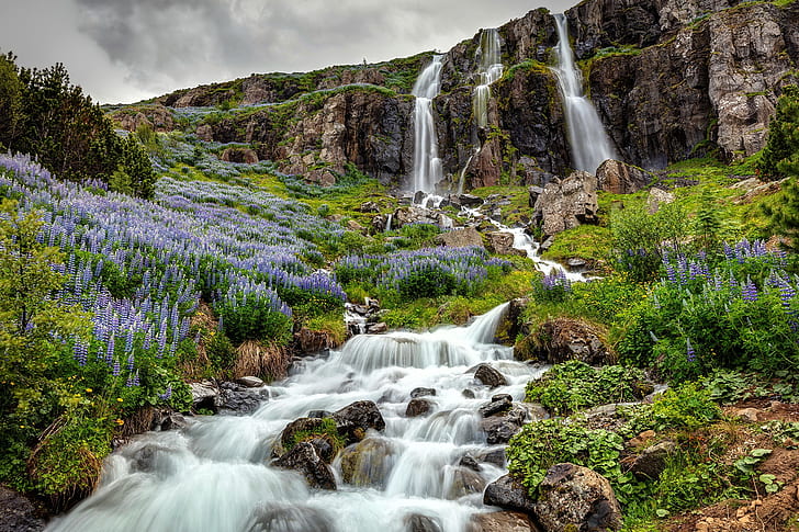Waterfalls, Waterfall, Cliff, Flower, Iceland, Lupine, Nature, Stream, HD wallpaper