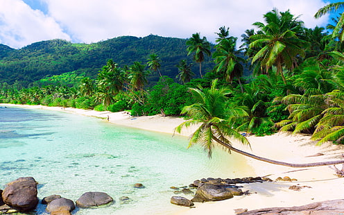 ベトナムの海岸ニャチャントロピカルサンドビーチオーシャンロックスパームス自然風景写真5200×3250、 HDデスクトップの壁紙 HD wallpaper