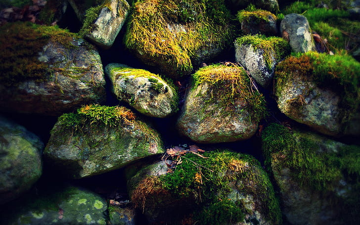 Rocks Stones Moss HD, szare i zielone kamienie, przyroda, skały, kamienie, mech, Tapety HD