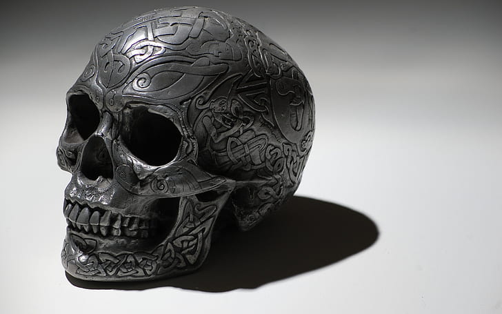 Metal Skull, skull, HD wallpaper