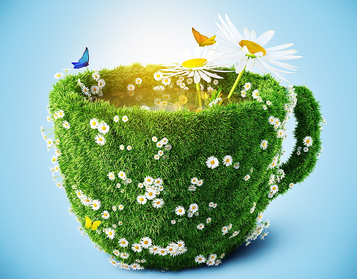 coupe d'herbe verte avec des fleurs, herbe, lumière, papillon, fond, camomille, tasse, Fond d'écran HD