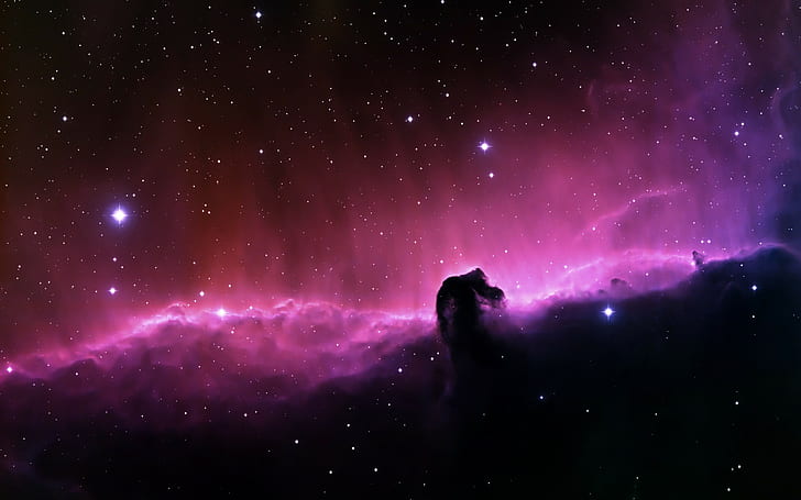 space horsehead nebula nebula, HD wallpaper
