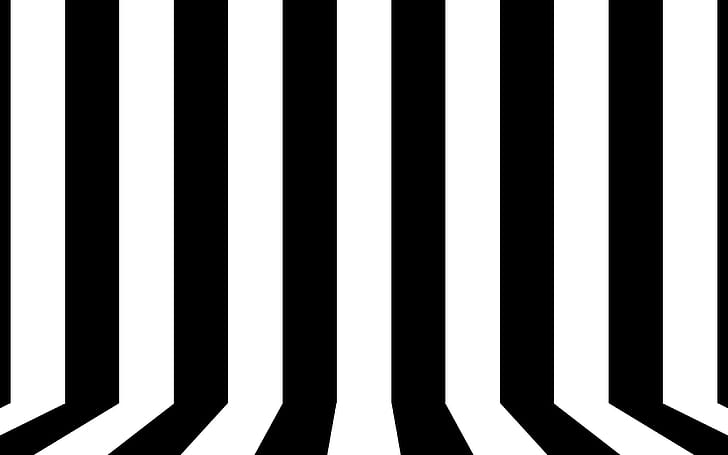 Black and white lines, black and white stripe illustration, vector, 2560x1600, line, stripe, HD wallpaper