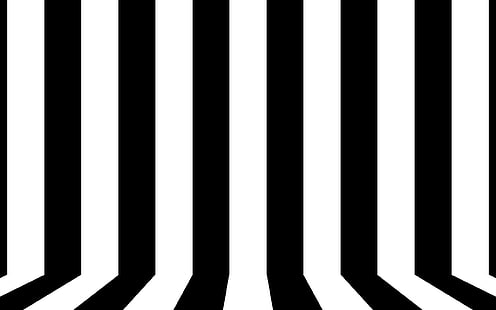 Черно-белые линии, черно-белая полоса иллюстрации, вектор, 2560x1600, линия, полоса, HD обои HD wallpaper