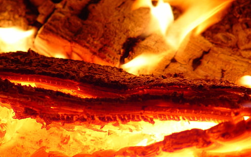 rote Flamme, Feuer, Glut, glimmend, HD-Hintergrundbild HD wallpaper