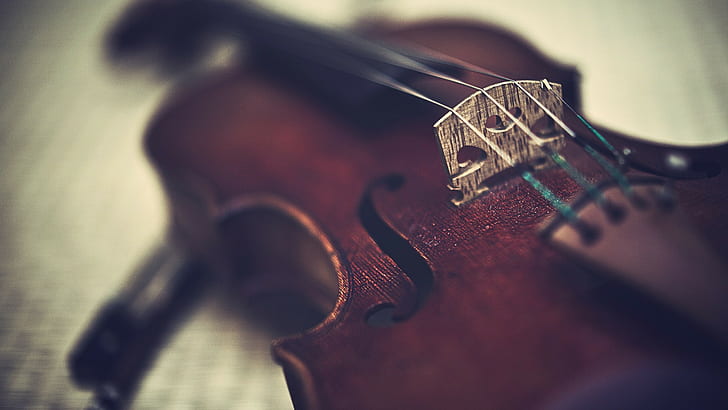 music, violin, musical instrument, HD wallpaper
