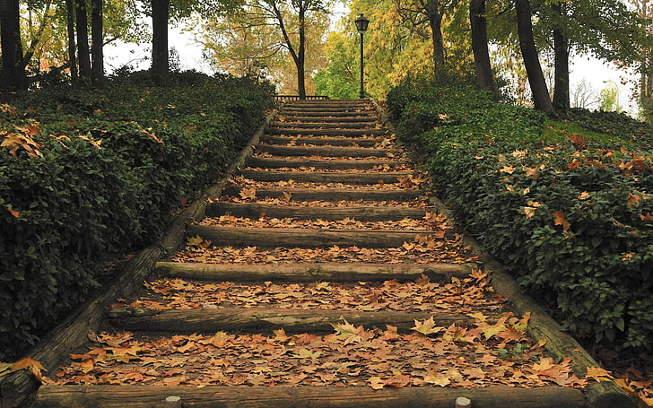 brown concrete stair, park, stairs, lantern, fall, trees, leaves, nature, HD wallpaper