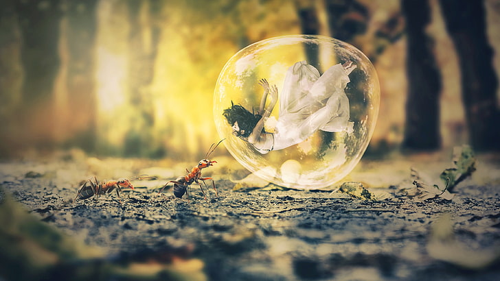burbuja, hormigas, hormiga, niña, arte de fantasía, tierra de los sueños, bosque, Fondo de pantalla HD