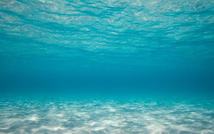 sous l'eau, mer, turquise, nature, bleu, turquoise, Fond d'écran HD