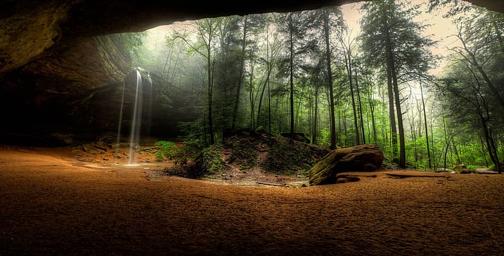 nature, forest, tree house, cave, waterfall, HD wallpaper