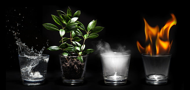 fogo, agua, ar, terra, quatro elementos, obra de arte, plantas, HD papel de parede HD wallpaper