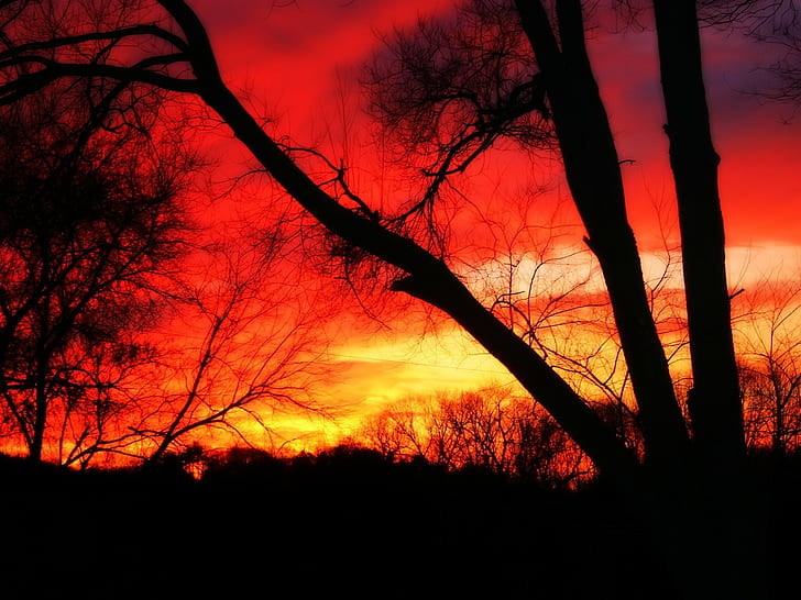 النار ، السماء البرتقالية ، صورة ظلية ، غروب الشمس ، المناظر الطبيعية، خلفية HD