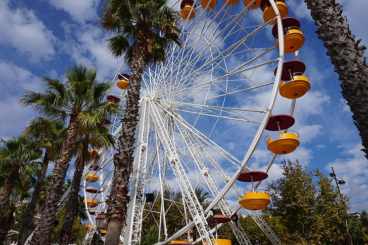 white and yellow Ferris wheel, ferris wheel, amusement, palm trees, HD wallpaper