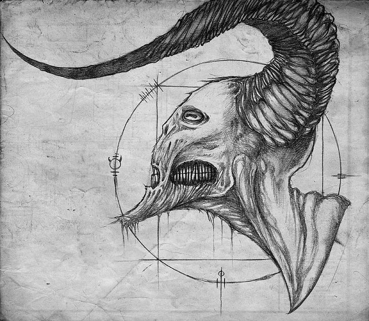 sketches, horns, graphite, monochrome, drawing, white, HD wallpaper