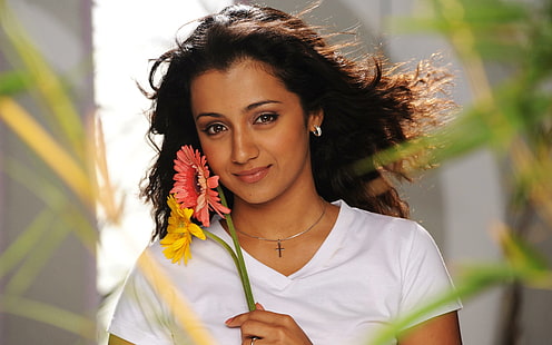 Trisha Krishnan, trisha, krishnan, attrice indiana, Sfondo HD HD wallpaper