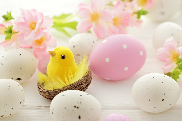 白とピンクの装飾的な卵、花、卵、イースター、ソケット、春、 HDデスクトップの壁紙