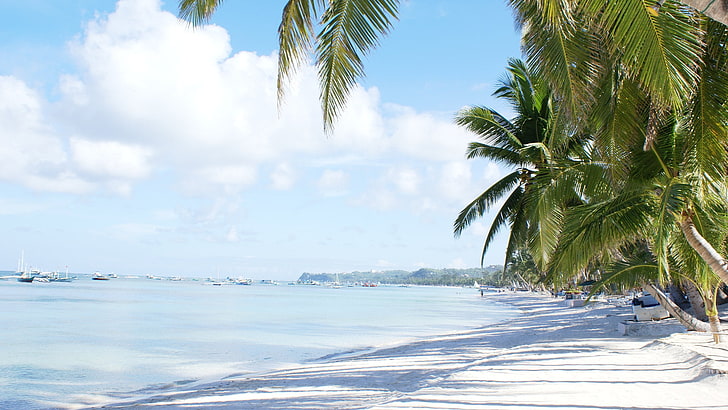 fotografía, tropical, playa, barco, palmeras, arena, mar, nubes, Fondo de pantalla HD