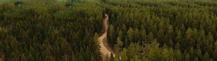 path, road, trees, forest, Latvia, ultrawide, HD wallpaper