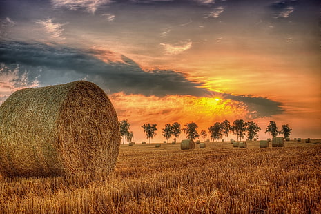 field, summer, sunset, hay, HD wallpaper HD wallpaper