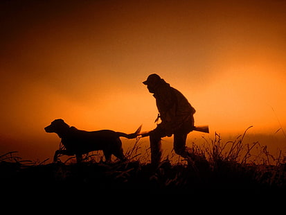 sylwetka człowieka i psa, polowanie, sylwetka, pies, zachód słońca, Tapety HD HD wallpaper