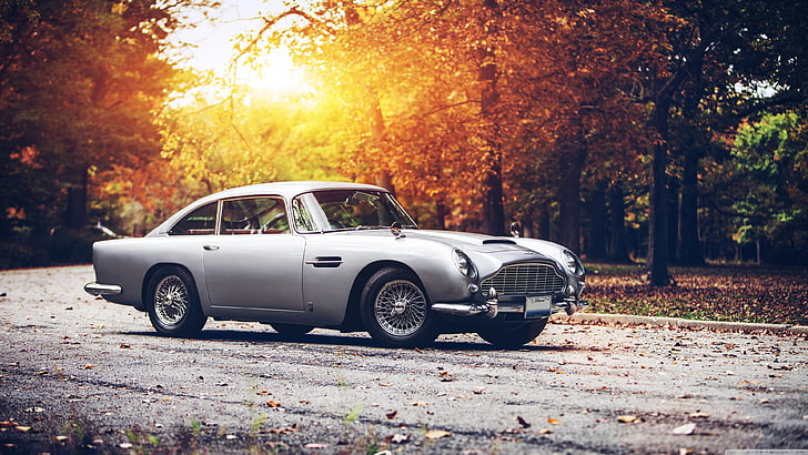 серебро купе, суперкар, винтаж, Aston Martin, Aston Martin DB5, HD обои