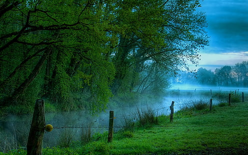 grüne Wiese und Bäume, Natur, Landschaft, Nebel, Fluss, Morgen, Gras, Bäume, Stacheldraht, grün, HD-Hintergrundbild HD wallpaper