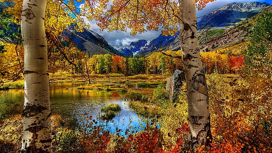 природа, пейзаж, дърво, есен, гора, сезон, есен, ноември, небе, клен, каньон, парк, жълт, планина, зеленина, дървета, листа, лято, пътуване, оранжево, трева, естествено, на открито, облаци, долина, цвят, пейзаж, вода, листо, рок, пролет, туризъм, цветен, октомври, сцена, растение, дърво, околна среда, на открито, слънчево, HD тапет HD wallpaper