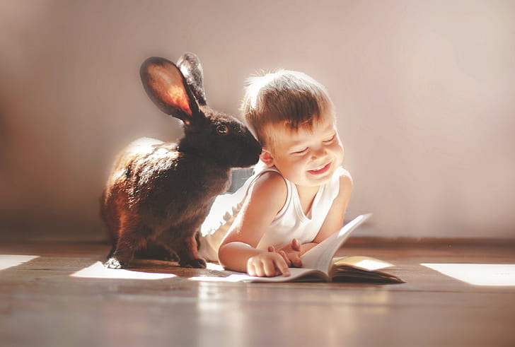 children, Laughter, rabbits, HD wallpaper