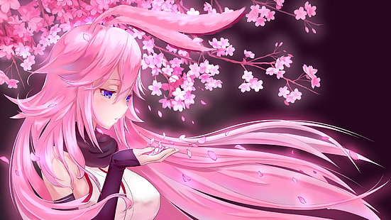 Anime, Benghuai Xueyuan, Yae Sakura (Benghuai Xueyuan), Sfondo HD HD wallpaper