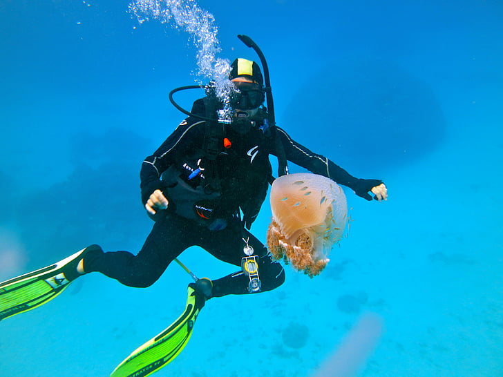 diver, diving, ocean, scuba, sea, underwater, HD wallpaper