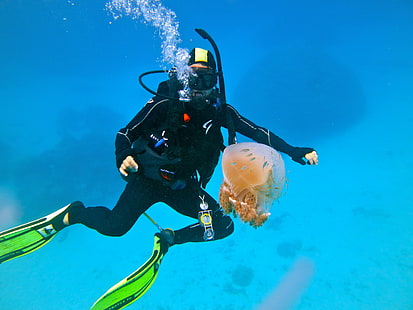 nurek, nurkowanie, ocean, nurkowanie, morze, pod wodą, Tapety HD HD wallpaper
