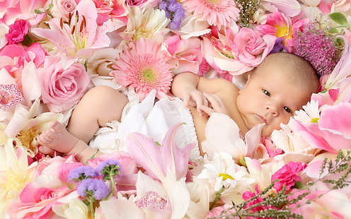Słodkie dziecko leżące na kwiatach, słodkie, kochanie, leżące, kwiaty, Tapety HD HD wallpaper