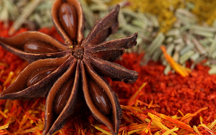 brown star anise, cinnamon, spices, aromatic, HD wallpaper