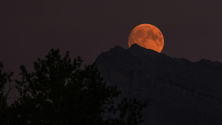 ดวงจันทร์ท้องฟ้ามืดกลางคืน, วอลล์เปเปอร์ HD