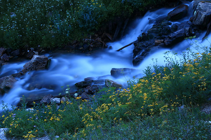 bed of yellow flowers near body of water, Time, Gravity, bed, yellow, flowers, body of water, South, French Creek, Snowy Range, Wyoming, Medicine Bow, outdoor, nature, waterfall, summer, evening, Lake Marie, river, stream, water, outdoors, landscape, scenics, rock - Object, HD wallpaper