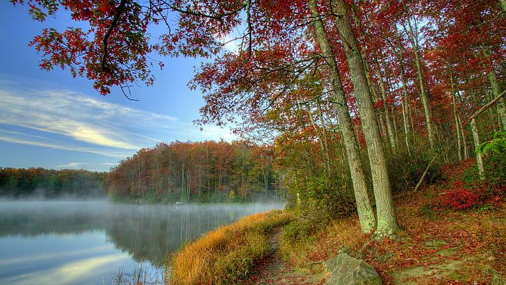 Държавен парк Babcock в Западна Вирджиния Hdr, гора, мъгла, езеро, природа и пейзажи, HD тапет