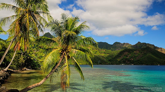 Залив Опуноху, Муреа, Френска Полинезия, острови, HD тапет HD wallpaper