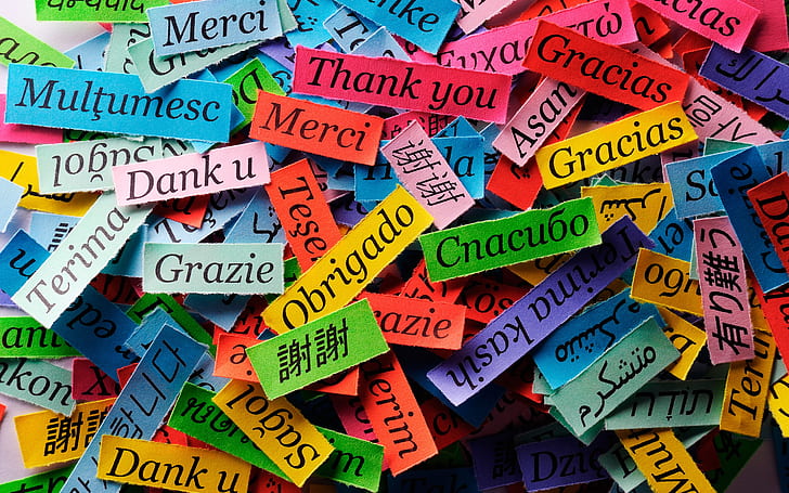 Thanks of different language, colorful paper pieces, Thanks, Different, Language, Colorful, Paper, Pieces, HD wallpaper