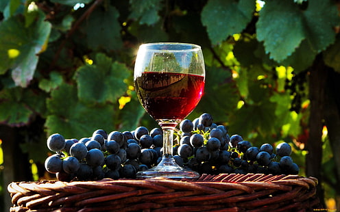 copa de vino transparente de tallo largo, vino, bebida, fruta, uvas, alcohol, Fondo de pantalla HD HD wallpaper