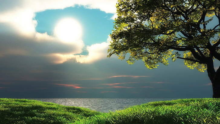 Bäume, Gras, Wolken, Himmel, Natur, HD-Hintergrundbild